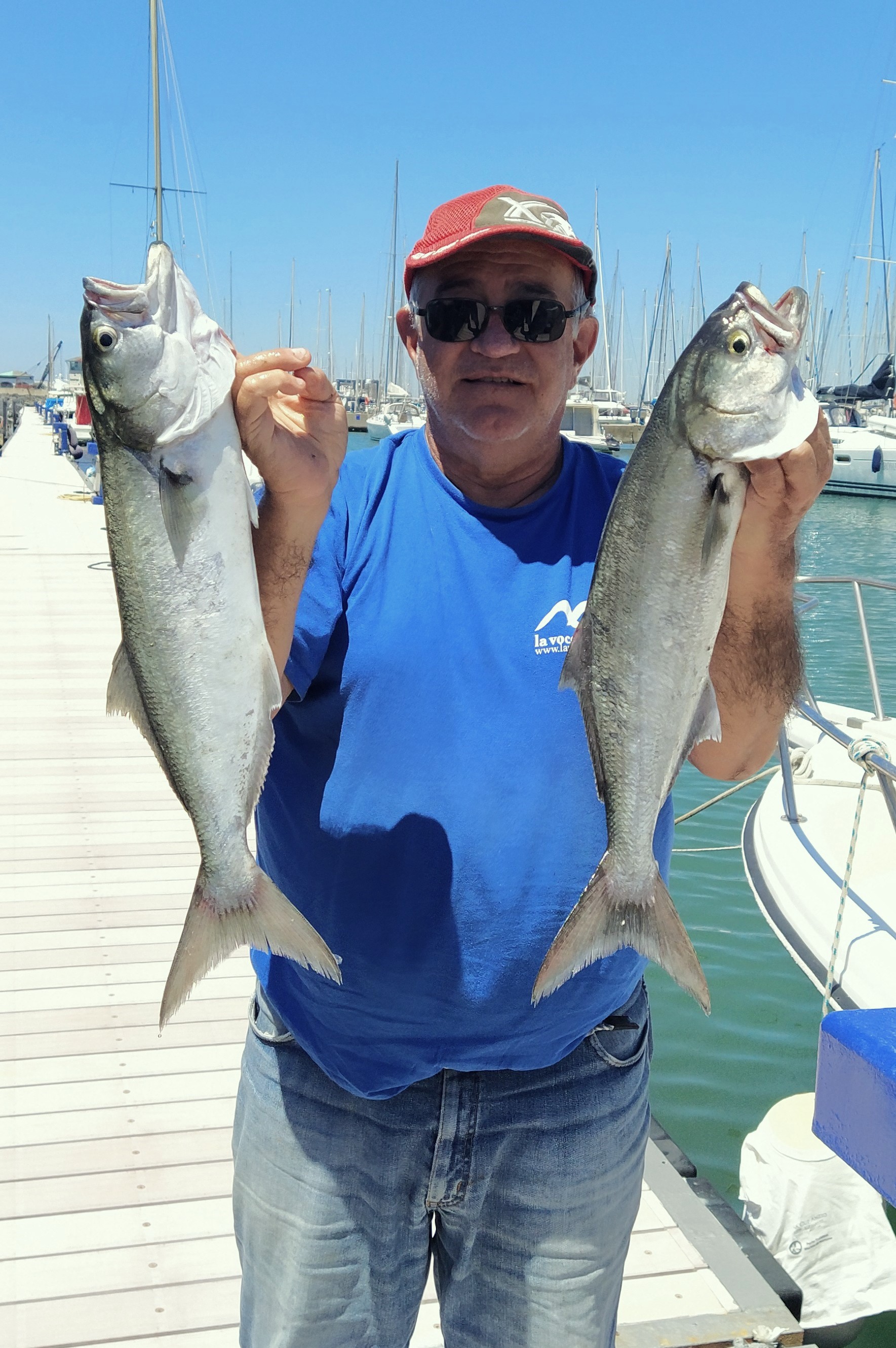 Traina Costiera 2025 Traina Costiera 2025