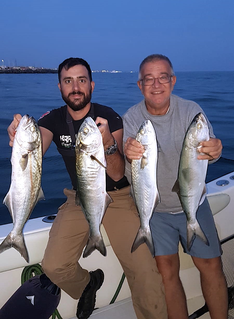 Traina Costiera 2025 Traina Costiera 2025