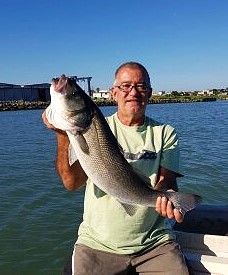 Traina Costiera 2025 Traina Costiera 2025