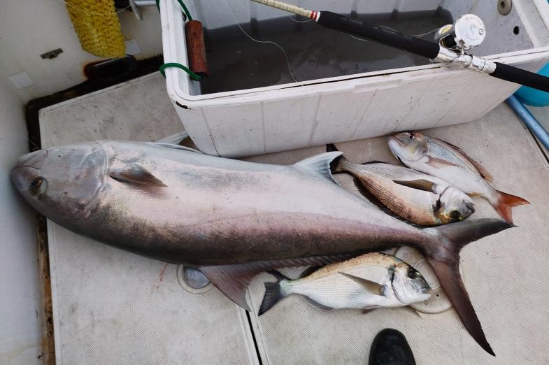 Ricciola 2025 - Racconto di Pesca